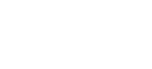 Aseer Development Authority white